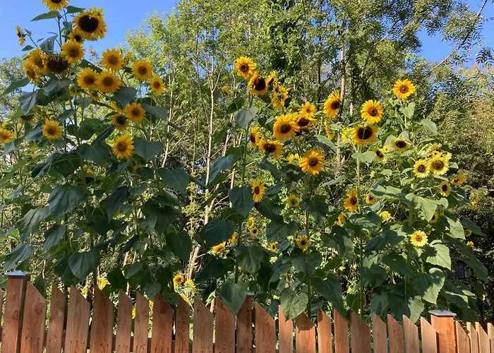 Villa Cozy Nature House *