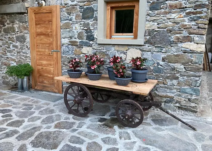 Cozy Nature House 别墅 科利科