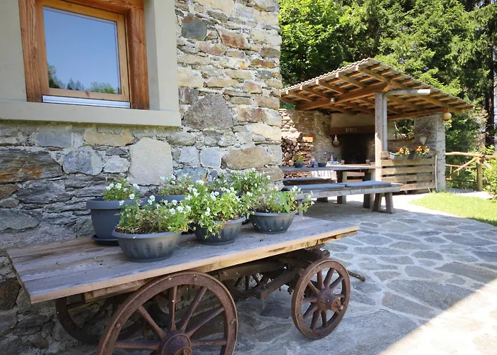 Cozy Nature House